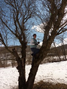 The author. Up in a tree again.