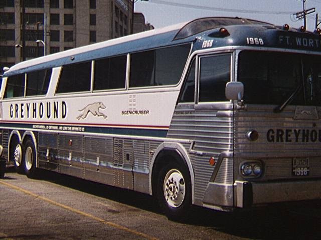 1960s greyhound