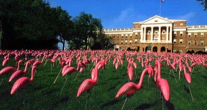 image from surroundedbyreality.com