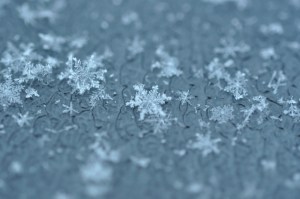 Source: https://caroltoddsnowflakes.files.wordpress.com/2013/04/flickr-5360064817-hd.jpg