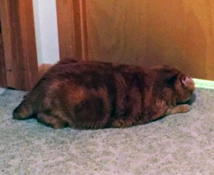 Dublin: cautious but curious